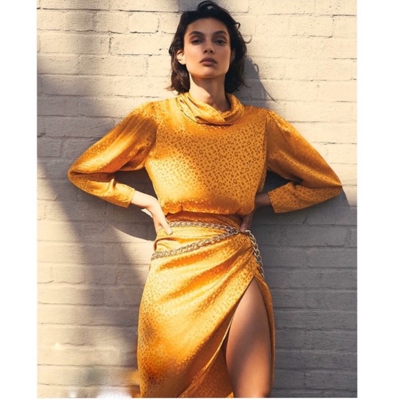 Ronny Kobo Kaira Silk Jacquard Leopard Dress Size Small - Picture 14 of 16